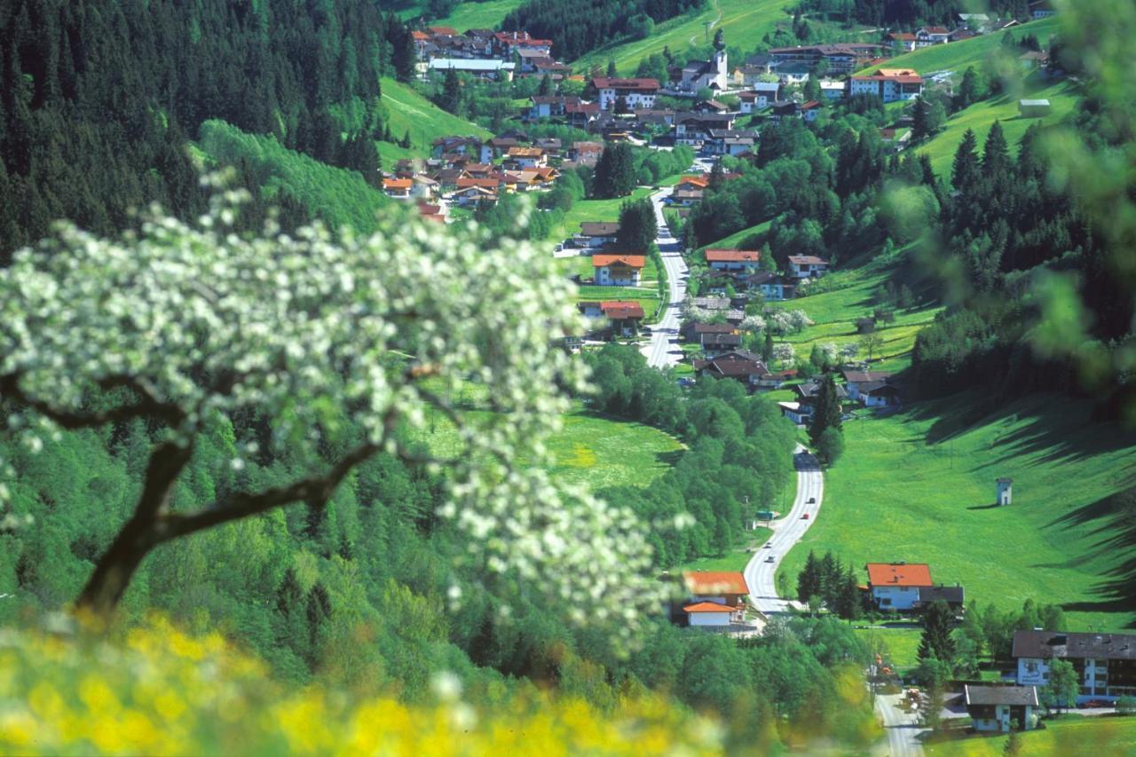 Haus Am Wildbach Hotel Auffach Kültér fotó